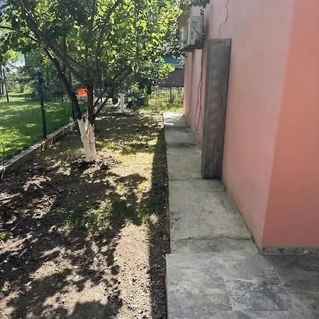 Relax Pine Golem (Tirana)
