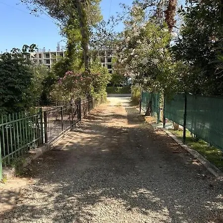 Relax Pine Golem (Tirana)